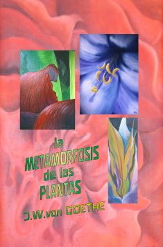 CCL05-la-metamorfosis-de-las-plantas